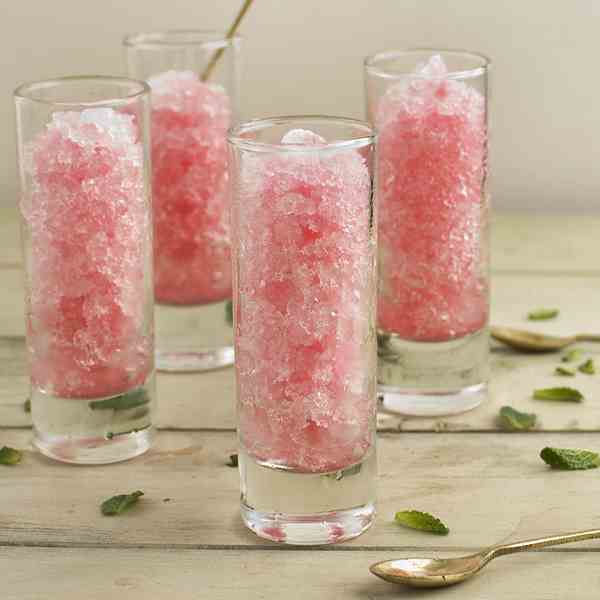 forced rhubarb and lemongrass granita