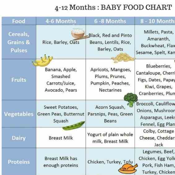 6 Months Baby Food Chart and Recipes