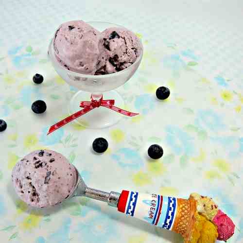 Blueberry Ice Cream