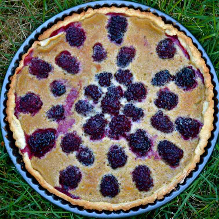 Fresh Blackberry Tart