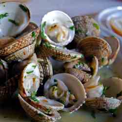 Sautéed clams