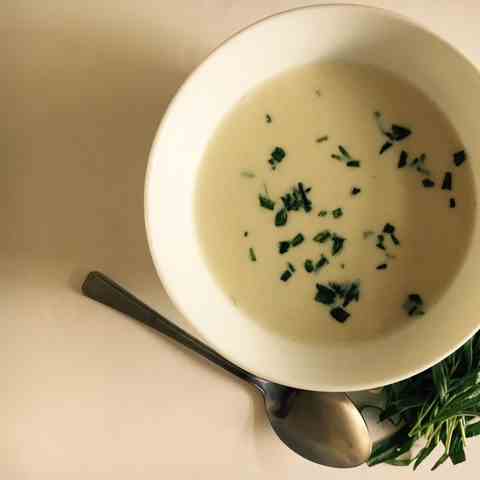Chicken and Tarragon Soup