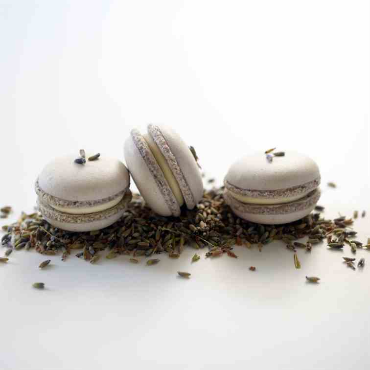 Lavender honey macarons