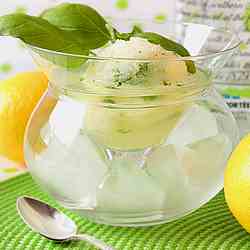 Lemon and Basil Sorbet in Vodka