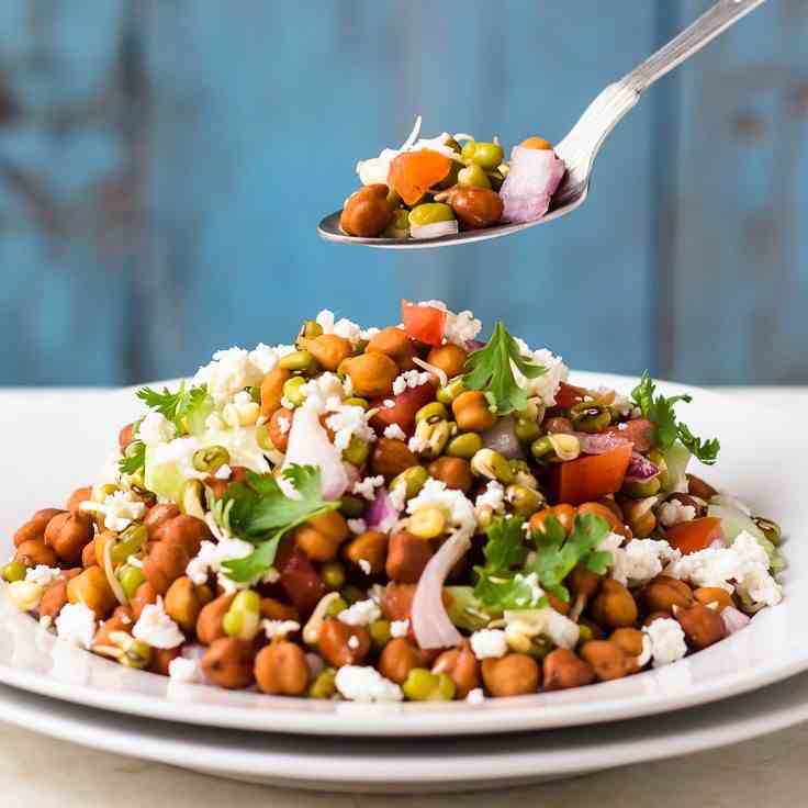 Raw Sprout Salad Healthy