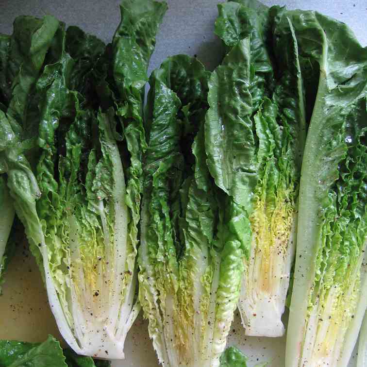 Grilled Caesar Salad