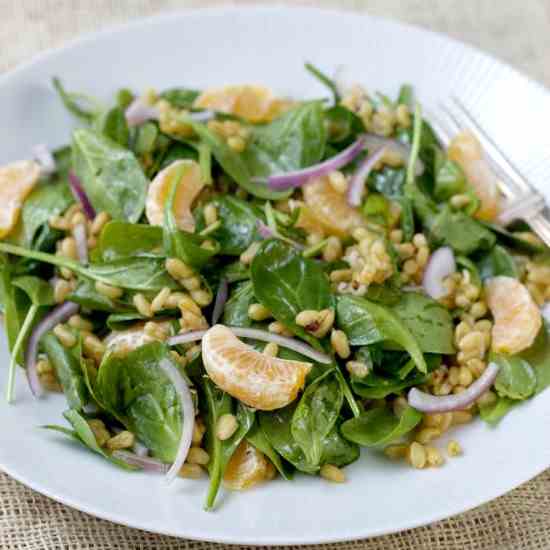 Kamut Spinach Salad