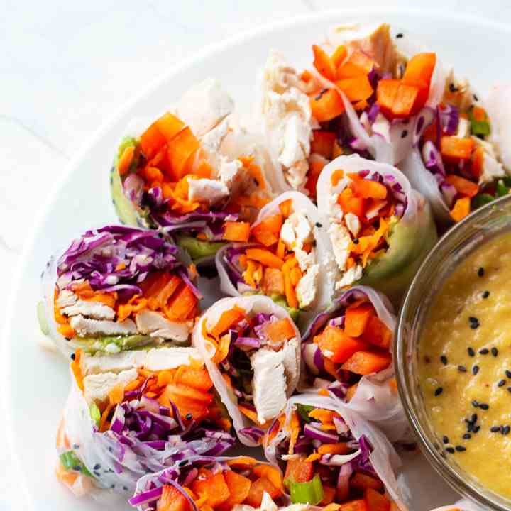 Rainbow Spring Rolls