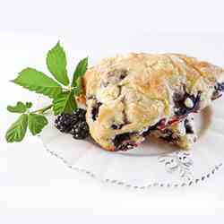 Blackberry Scones