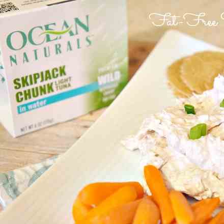 Fat-Free Tuna Dip