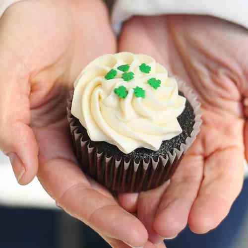 Chocolate Guinness Irish Cream Cupcakes