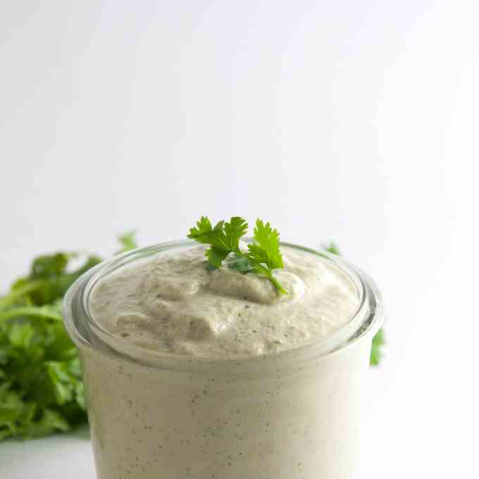 Cilantro Lemon Sunflower Seed Dip