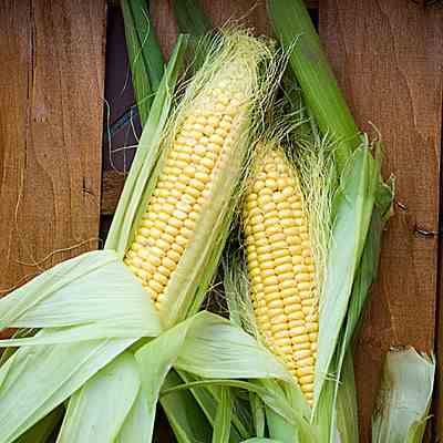 How To Grill Corn On The Cob