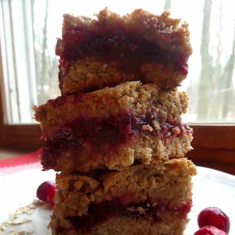 Cranberry Chocolate Oat Bars