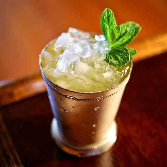 Gin on Gin Julep 