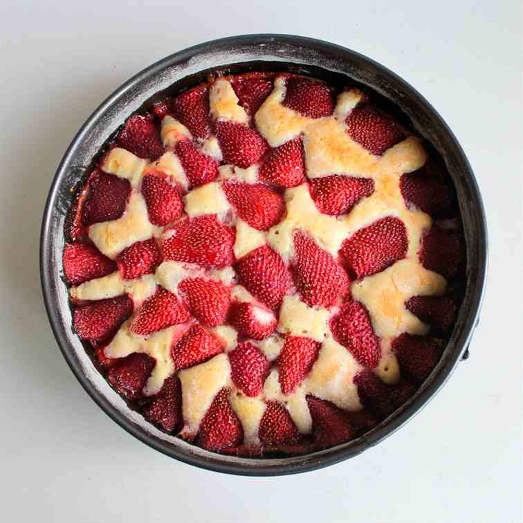 Strawberry Summer Cake