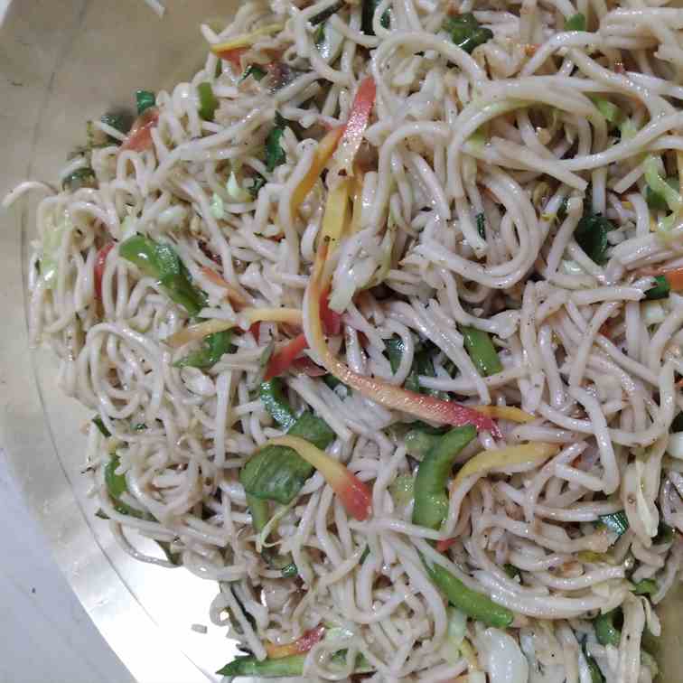 Mixed Hakka Noodles - Veg Hakka Noodles