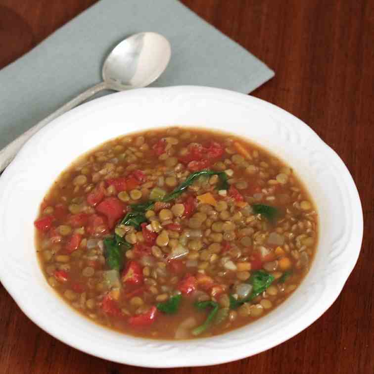 Healthy Lentil Soup