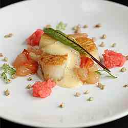 Scallop on buckwheat purée