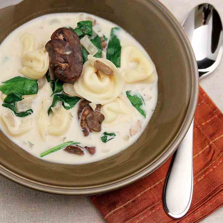 Creamy Tortellini Soup