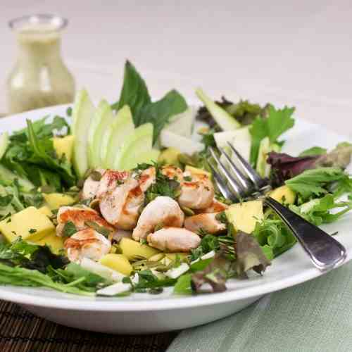 Warm Chicken, Chayote and Mango Salad