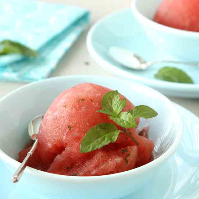 Watermelon Mojito Sorbet