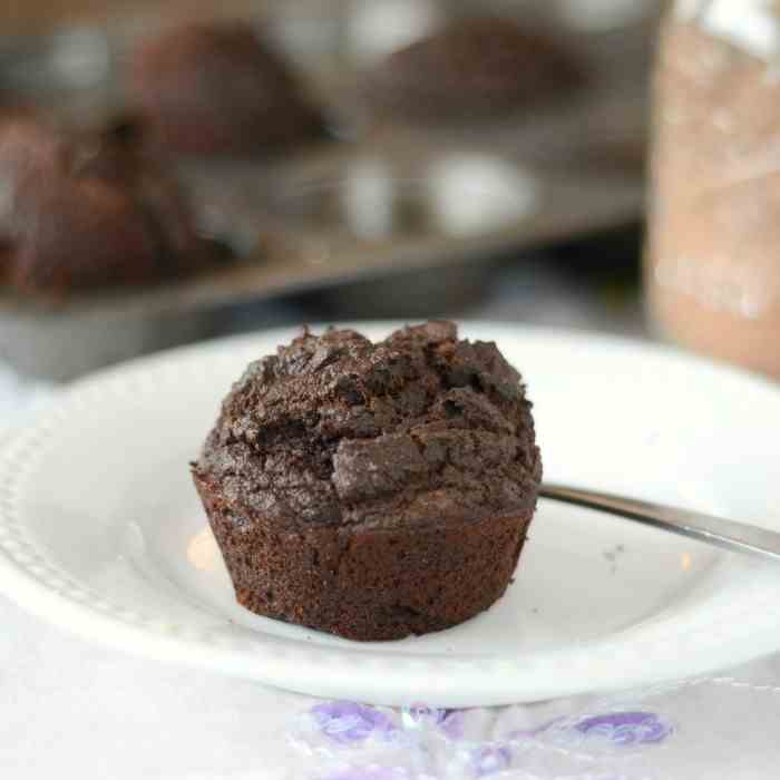 Low Carb Chocolate Muffins