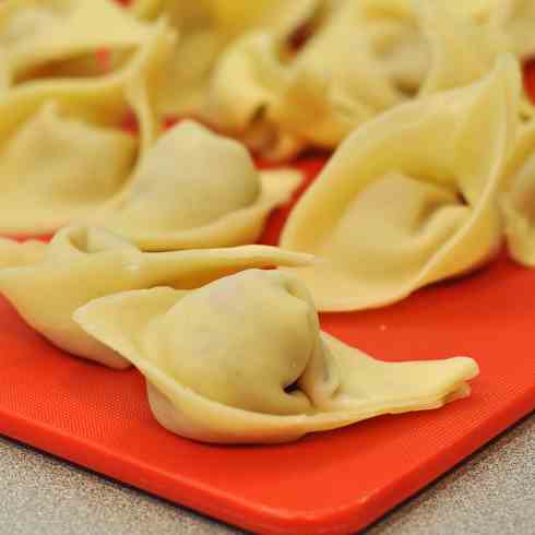 Asian chicken potstickers