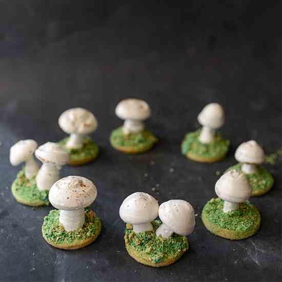 Meringue Mushroom Fairy Ring