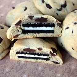 Chocolate Chip Oreo Cookies