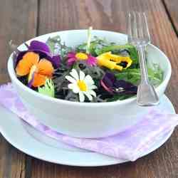Edible Flower Salad (in Czech)
