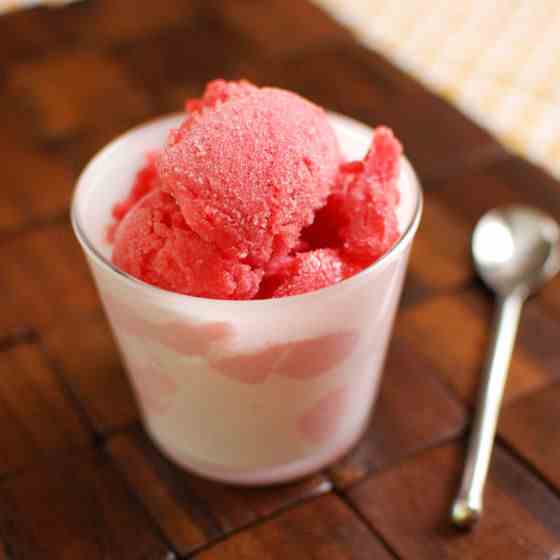 Strawberry Rhubarb Sorbet