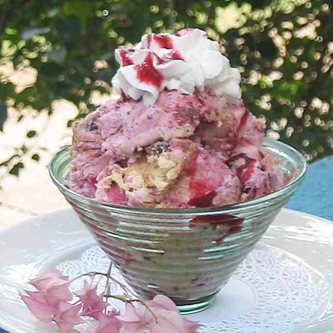 Wild Berry Pavlova Ice Cream