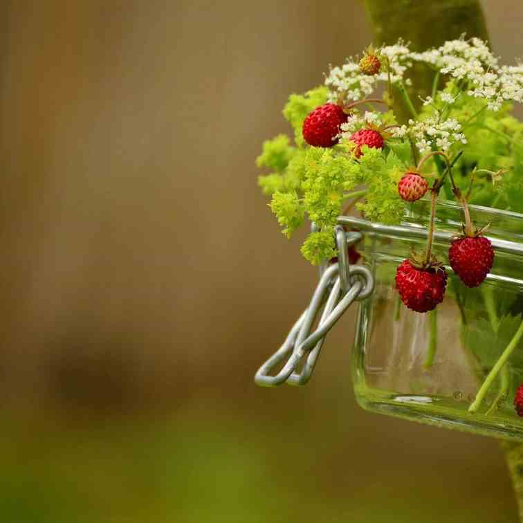 Berry Dessert