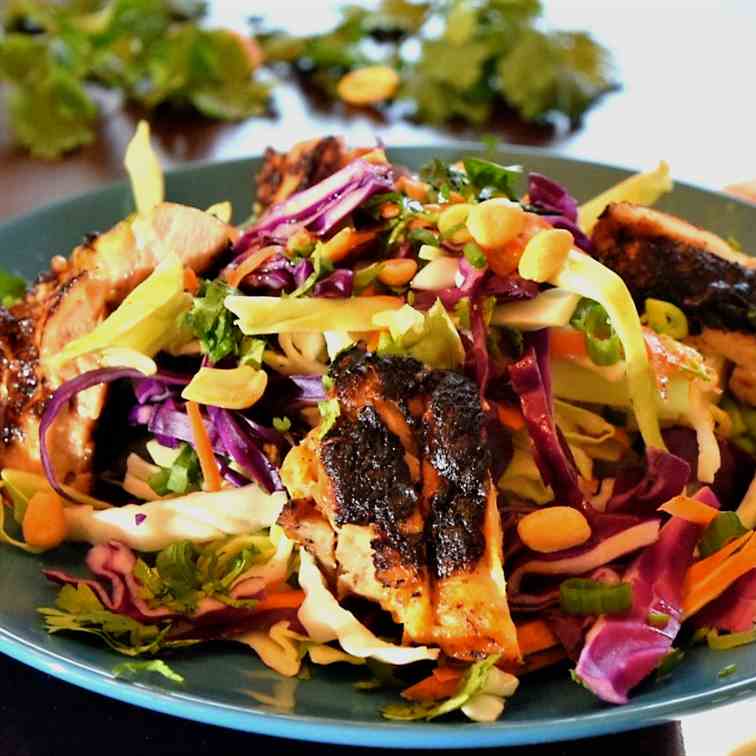 Peanut Butter Chicken and Thai Slaw