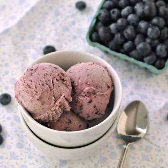 Blueberry Ice Cream