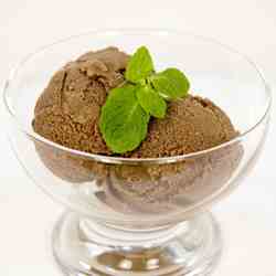 Chocolate Mint Ice Cream