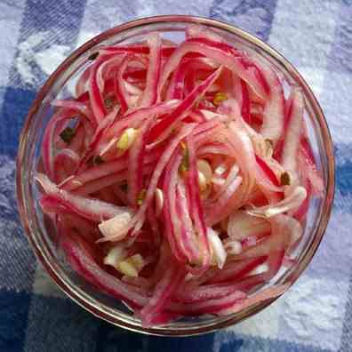 Yucatecan Pickled Red Onions