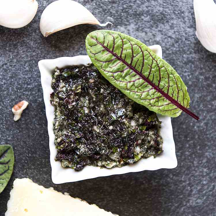 Lemony Red Sorrel Pesto Recipe