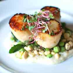 Sustainably Caught Seared Scallops
