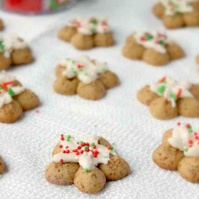 Paleo Spritz Cookies