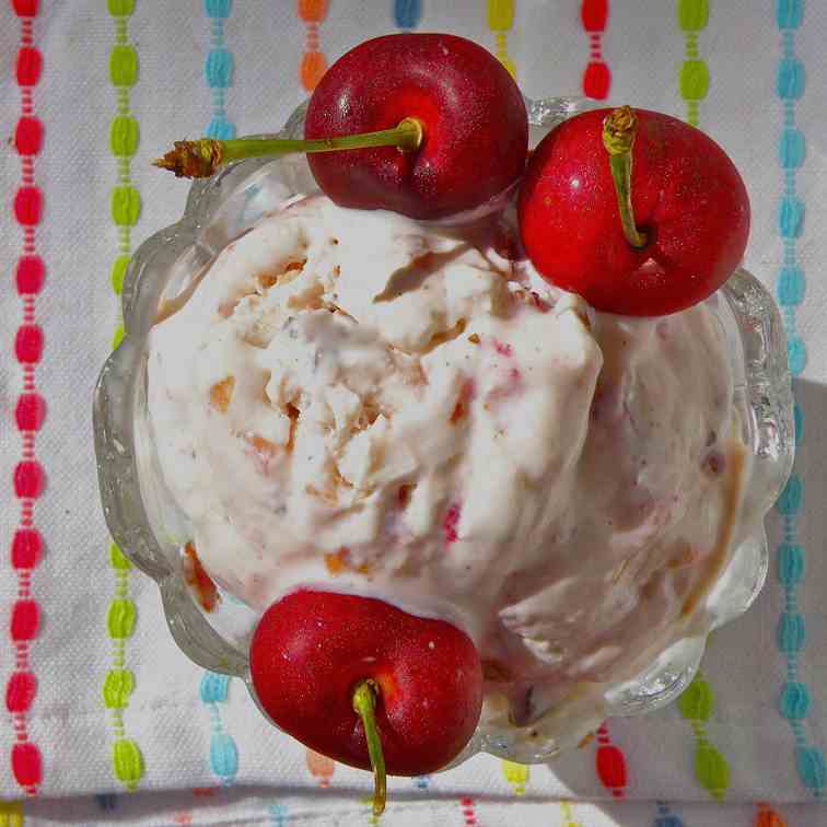 Cherry Chocolate Frozen Yogurt