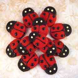 Ladybird icebox cookies