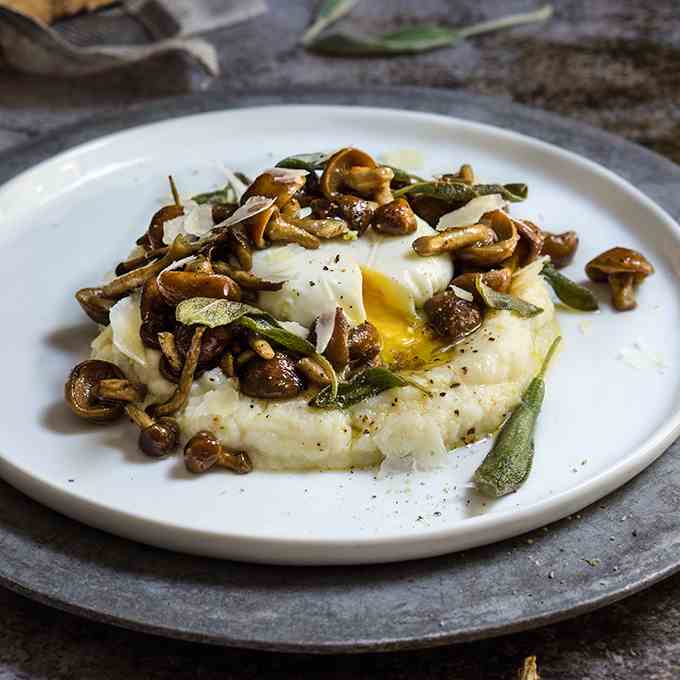 Truffled cauliflower puree with mushrooms