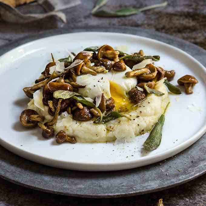 Truffled cauliflower puree with mushrooms 