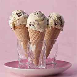 Big Fat Chocolate Chip Ice Cream