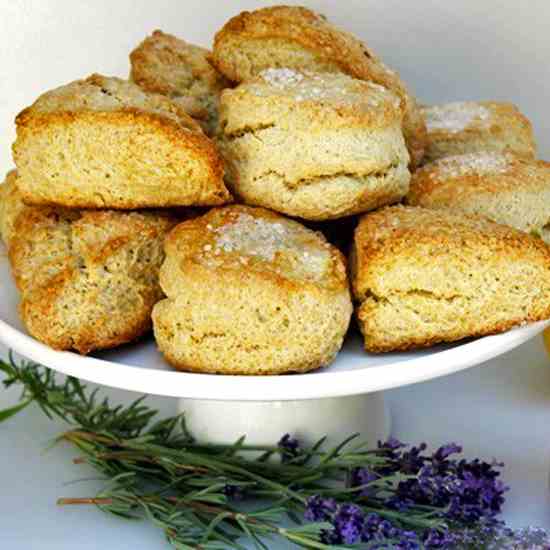 lemon buttermilk scones