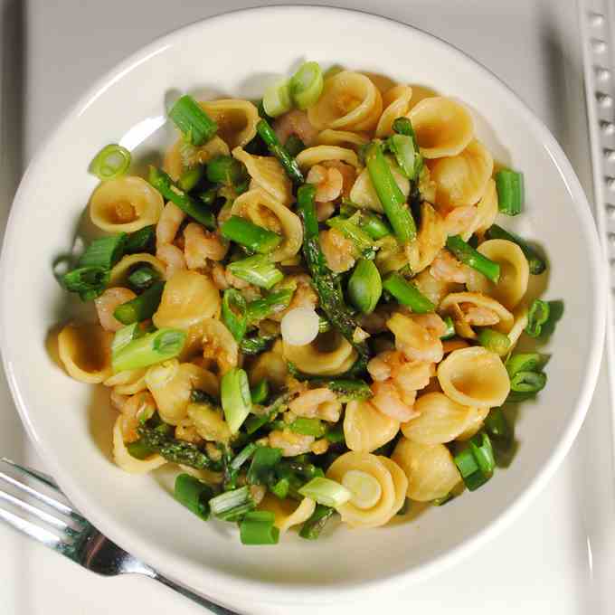 Orecchiette Pasta with Shrimp