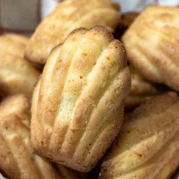 Best Madeleine Cakes