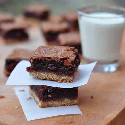 Gooey cranberry chocolate squares